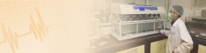 WHO-GMP certified manufacturer